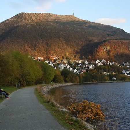 Luxurious Retreat In The Middle Of City Center Bergen Esterno foto